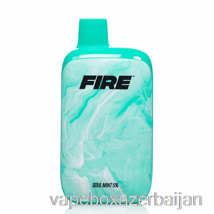 E-Juice Vape FIRE Boost 12000 Disposable Soul Mint